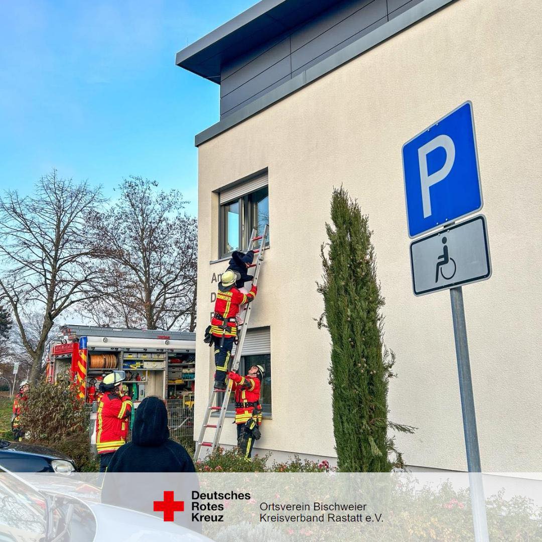 589425777 1266248972210408 832386311324615035 n