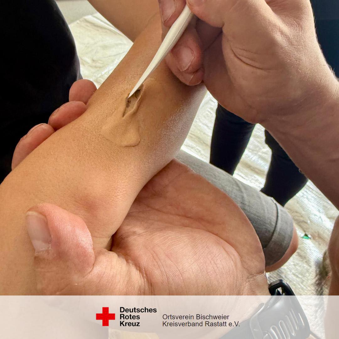 536281979 1184780987023874 6820301424369818784 n