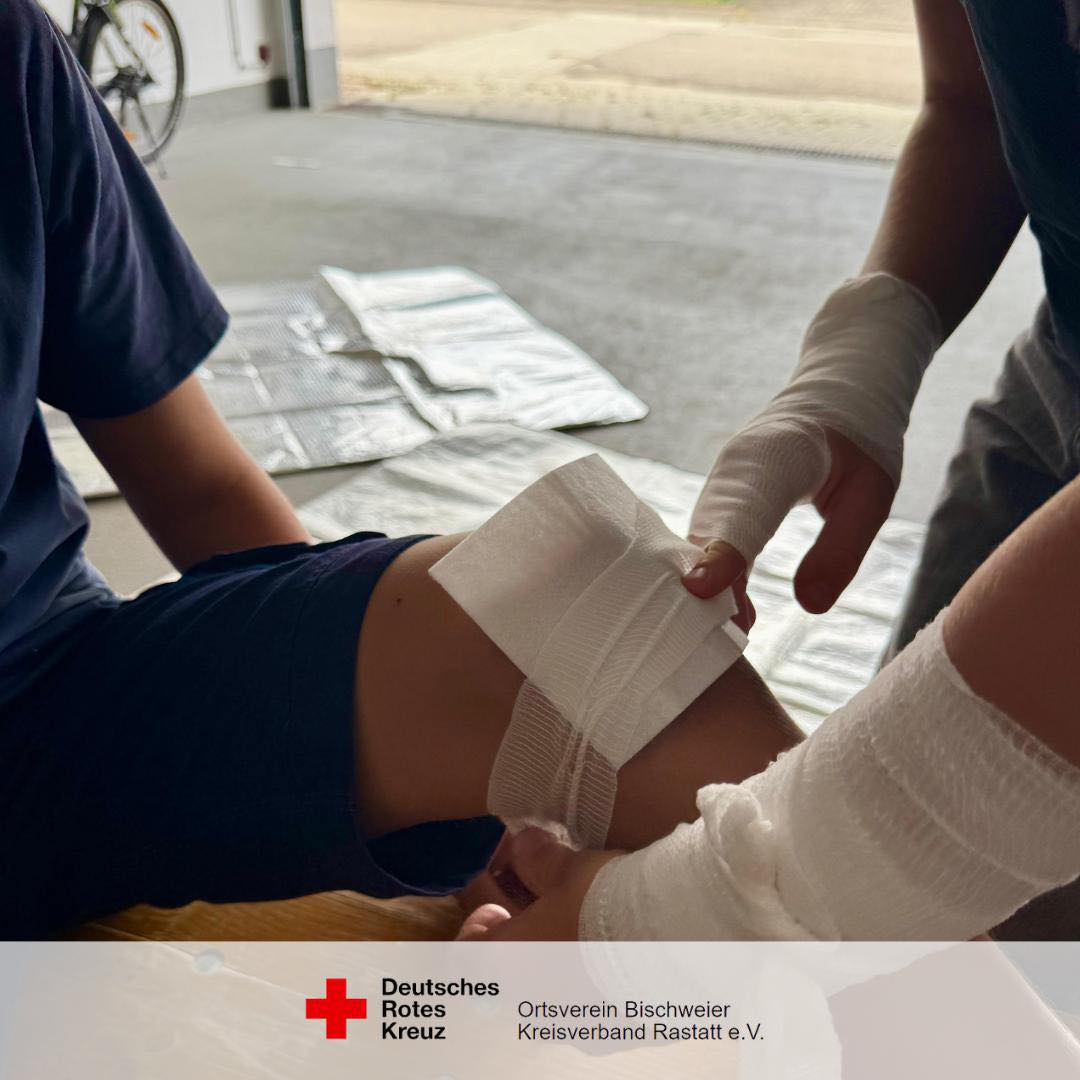 536291337 1184780983690541 5698516075815087389 n